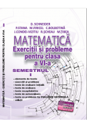 Matematica-Exercitii si probleme pentru clasa a VI-a - Semestrul I